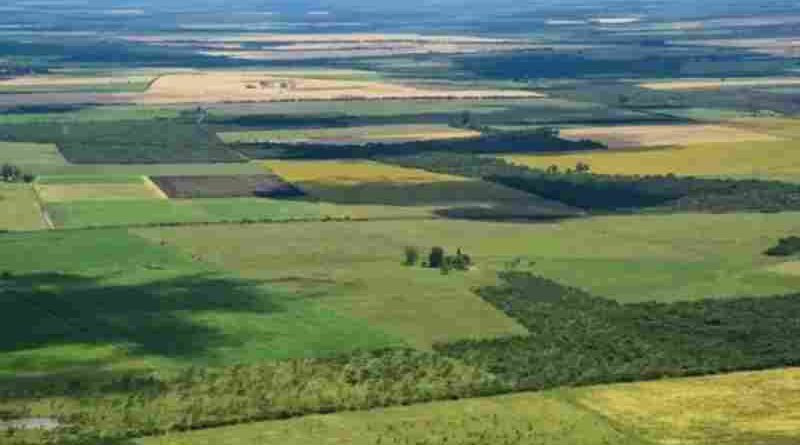 La Corte revocó el fallo que declaraba inconstitucional la derogación de la Ley de Tierras