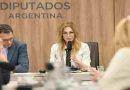 Lilia Lemoine: “Los recursos diplomáticos de este gobierno son mucho más fuertes que los del kirchnerismo”