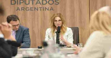 Lilia Lemoine: “Los recursos diplomáticos de este gobierno son mucho más fuertes que los del kirchnerismo”