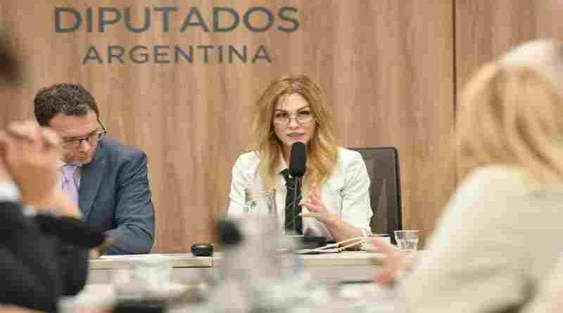 Lilia Lemoine: “Los recursos diplomáticos de este gobierno son mucho más fuertes que los del kirchnerismo”