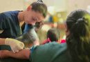 El gobierno de Pullaro fortalece el acceso a diagnósticos en la Cuña Boscosa con una red de laboratorio que evita traslados para realizar análisis