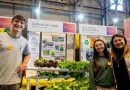 800 estudiantes y docentes de Santa Fe expondrán más de 250 propuestas educativas en la Feria Provincial de Proyectos