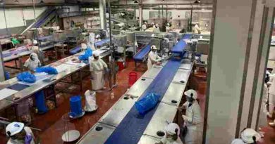 La Provincia habilitará financiamiento al sector productivo para pagar un cargo energético dispuesto por la Nación