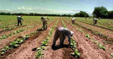 Uatre: se homologó la paritaria del sector