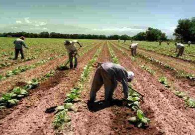 Uatre: se homologó la paritaria del sector