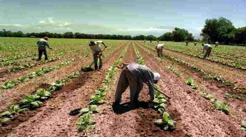 Uatre: se homologó la paritaria del sector