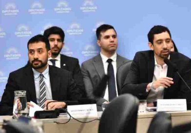Funcionarios de Sturzenegger en la comisión de Presupuesto, destacaron el ajuste en el Estado y las “reformas estructurales”