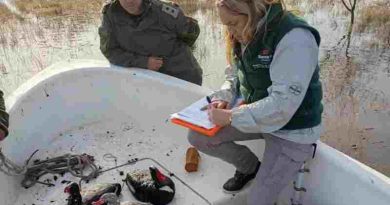 Santa Fe digitalizó las licencias de pesca y ya emitió más de 9.000 en lo que va del año