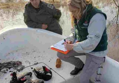 Santa Fe digitalizó las licencias de pesca y ya emitió más de 9.000 en lo que va del año
