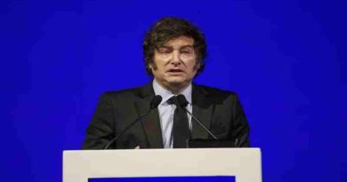 Milei habló de las elecciones de 2027 y del “nivel de estupidez” de los que critican el RIGI