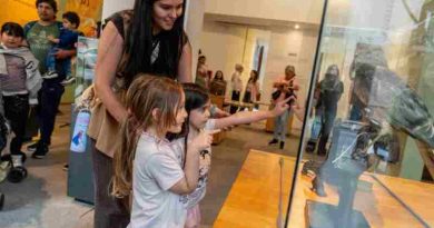 Noche de Museos Abiertos: la provincia ofrece una programación especial en Rosario