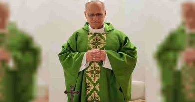 La salud del papa León XIV: celebró una misa y nuevos estudios confirman una “mejora constante”