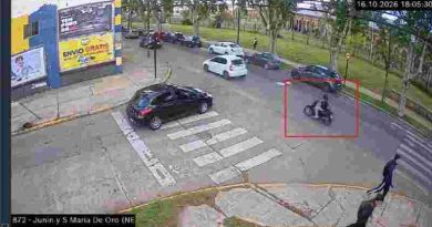 Lince, otra vez clave para avanzar en una causa por robos de celulares en zona céntrica de Rosario