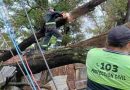 Temporal: Rosario registró 320 reportes por daños ocasionados por la tormenta