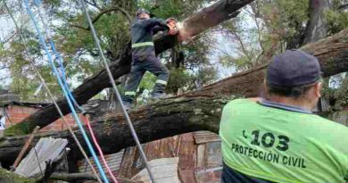 Temporal: Rosario registró 320 reportes por daños ocasionados por la tormenta